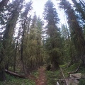 Baker Gulch
